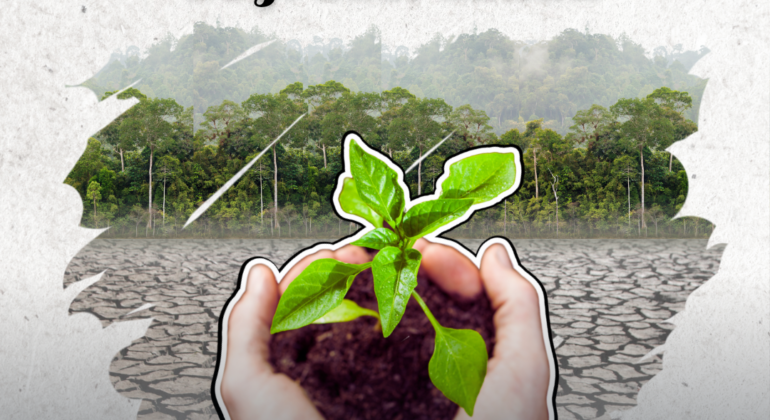 Hari Penanggulangan Degradasi Lahan