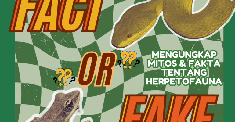 Fact or Fake Herpetofauna