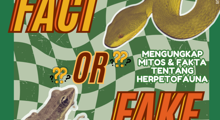 Fact or Fake Herpetofauna