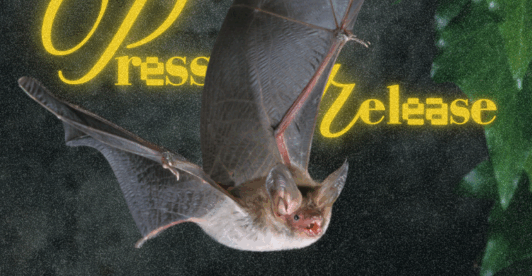 Feeds Harian Himakoplak (1)