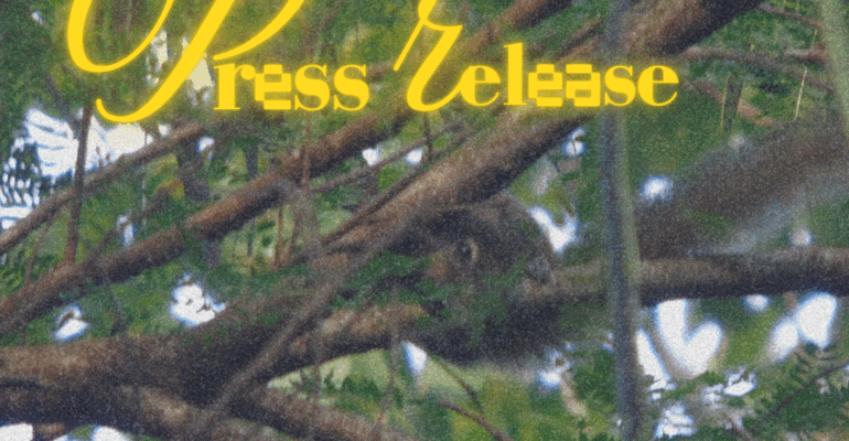 Feeds Harian Himakoplak