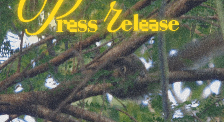 Feeds Harian Himakoplak