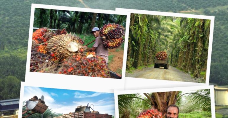 WhatsApp Image 2025-06-08 at 23.17.14