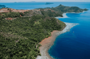 Photo by Greenpeace 2025