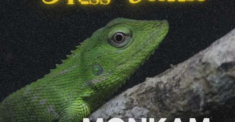 SnapInsta.to_499360600_18506589955026763_6047102776941779816_n