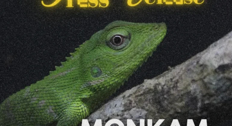 SnapInsta.to_499360600_18506589955026763_6047102776941779816_n