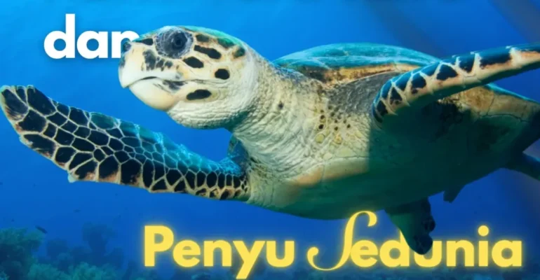 SnapInsta.to_499487037_18506947795026763_8139676103887685669_n