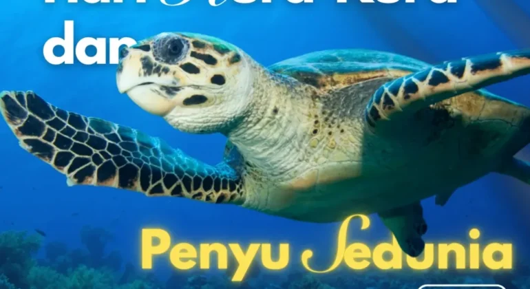 SnapInsta.to_499487037_18506947795026763_8139676103887685669_n