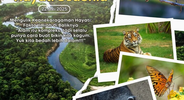 SnapInsta.to_499876672_18506817433026763_7812221470114298950_n