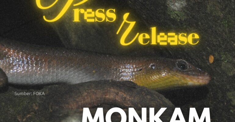 SnapInsta.to_500251651_18506780167026763_8071888540797293368_n