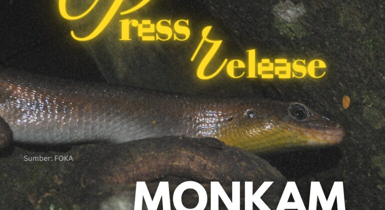 SnapInsta.to_500251651_18506780167026763_8071888540797293368_n