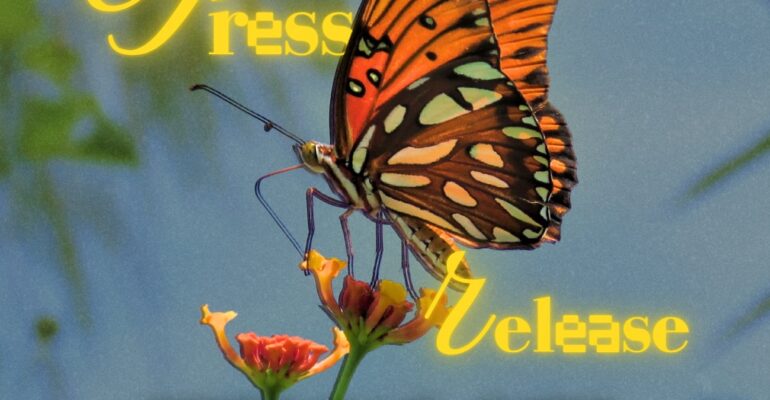 SnapInsta.to_502524070_18508209361026763_8186380097168283949_n