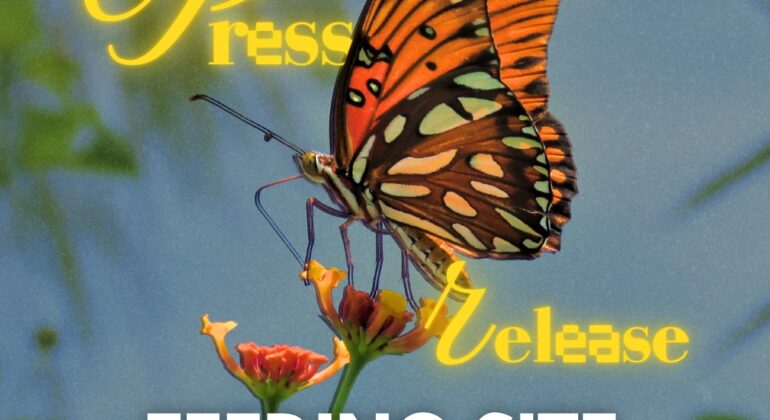 SnapInsta.to_502524070_18508209361026763_8186380097168283949_n