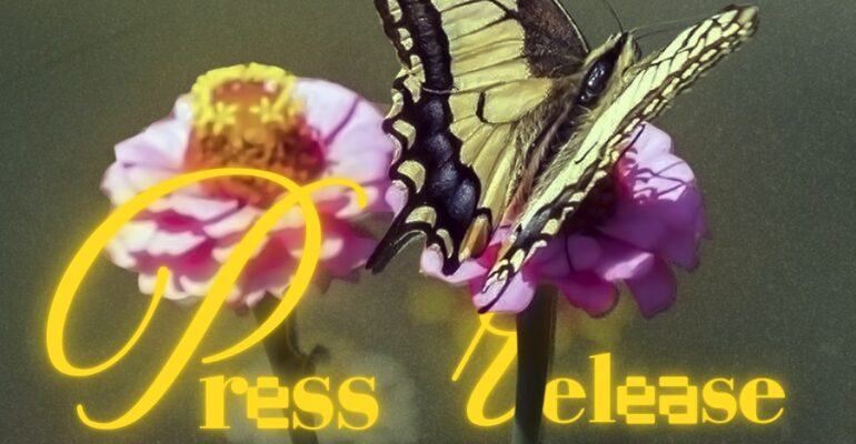 SnapInsta.to_502669653_18508336645026763_7502349770721568490_n