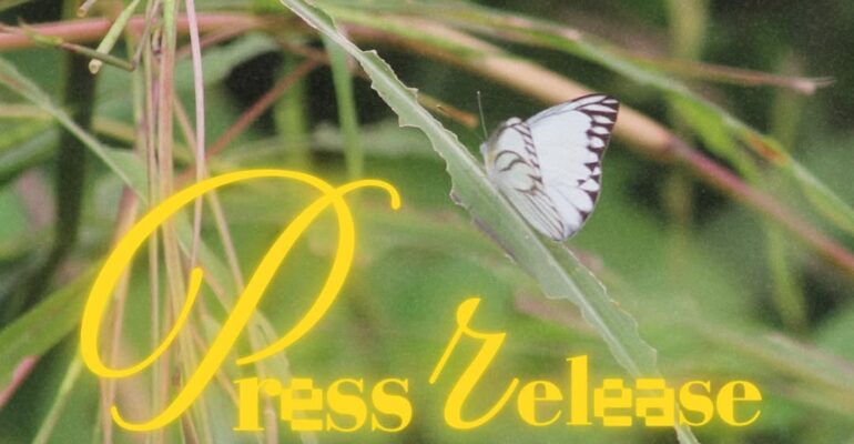 SnapInsta.to_502706360_18508336375026763_3791582968631061741_n