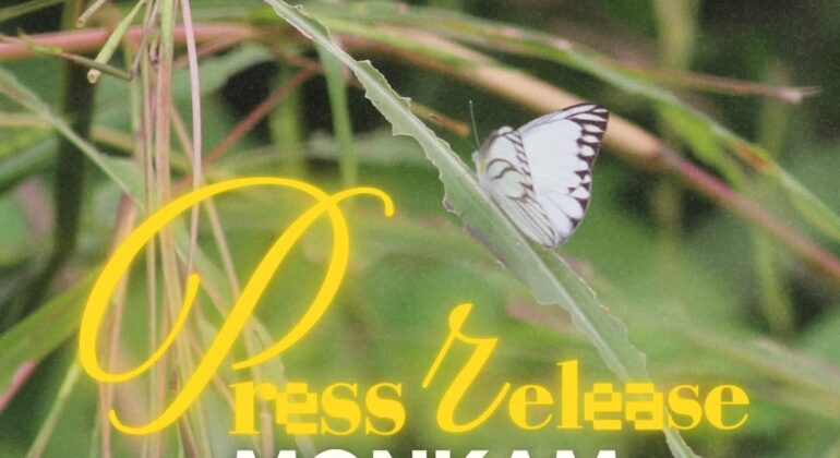 SnapInsta.to_502706360_18508336375026763_3791582968631061741_n