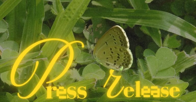 SnapInsta.to_502734201_18508336132026763_4464467861044196947_n