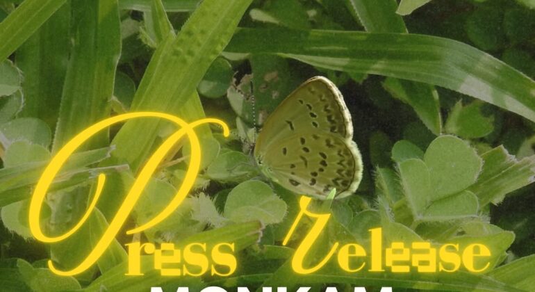 SnapInsta.to_502734201_18508336132026763_4464467861044196947_n