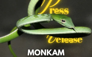 SnapInsta.to_503489271_18512860840026763_8174802146966699248_n