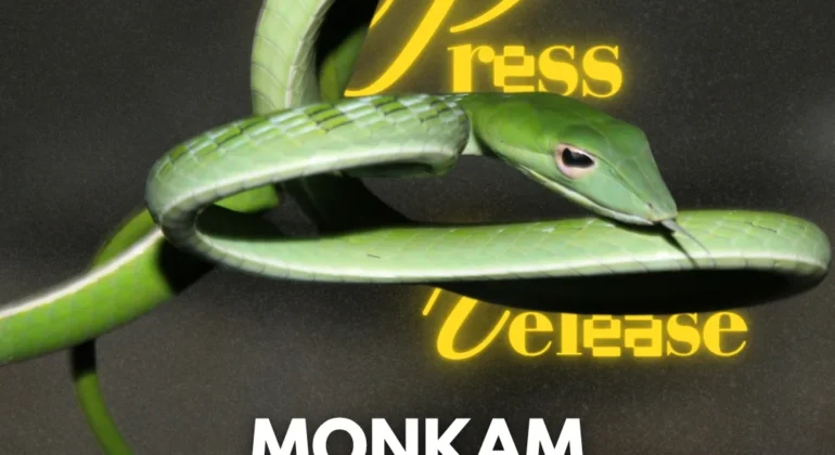 SnapInsta.to_503489271_18512860840026763_8174802146966699248_n