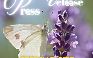 SnapInsta.to_504004622_18512484073026763_5767601271082440061_n