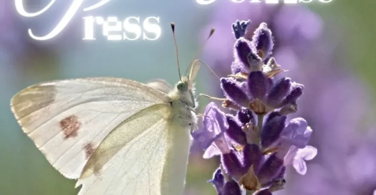 SnapInsta.to_504004622_18512484073026763_5767601271082440061_n