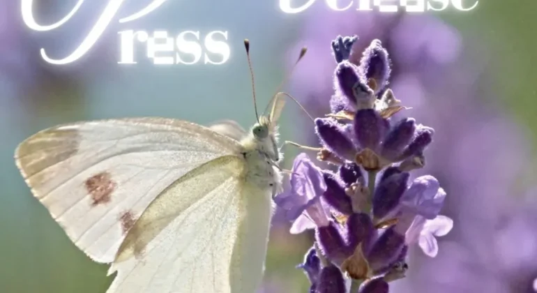 SnapInsta.to_504004622_18512484073026763_5767601271082440061_n