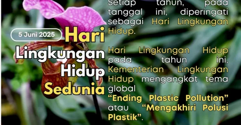 SnapInsta.to_504519719_18509625097026763_3583400558694883101_n