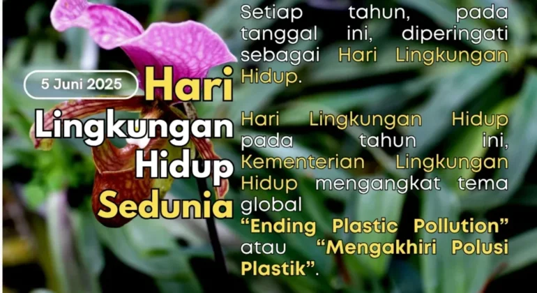 SnapInsta.to_504519719_18509625097026763_3583400558694883101_n