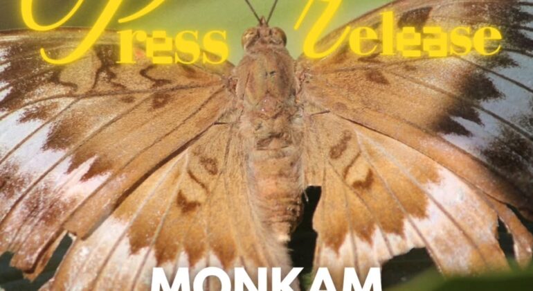 SnapInsta.to_504823381_1235547744277576_843418764563606683_n