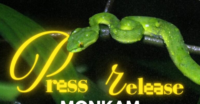 SnapInsta.to_509111989_1247537143591072_1214984775326255465_n