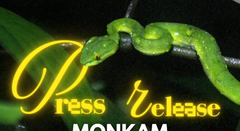 SnapInsta.to_509111989_1247537143591072_1214984775326255465_n